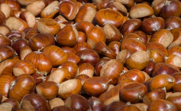 Castagne fresche Montella